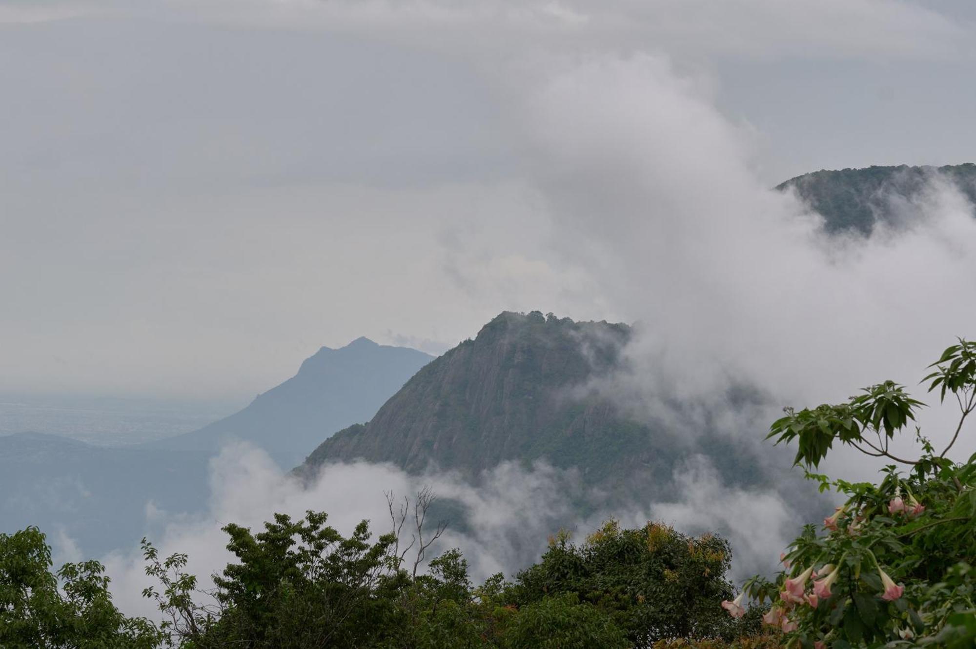 De Rock Jungle Living Resort Coonoor Exterior foto