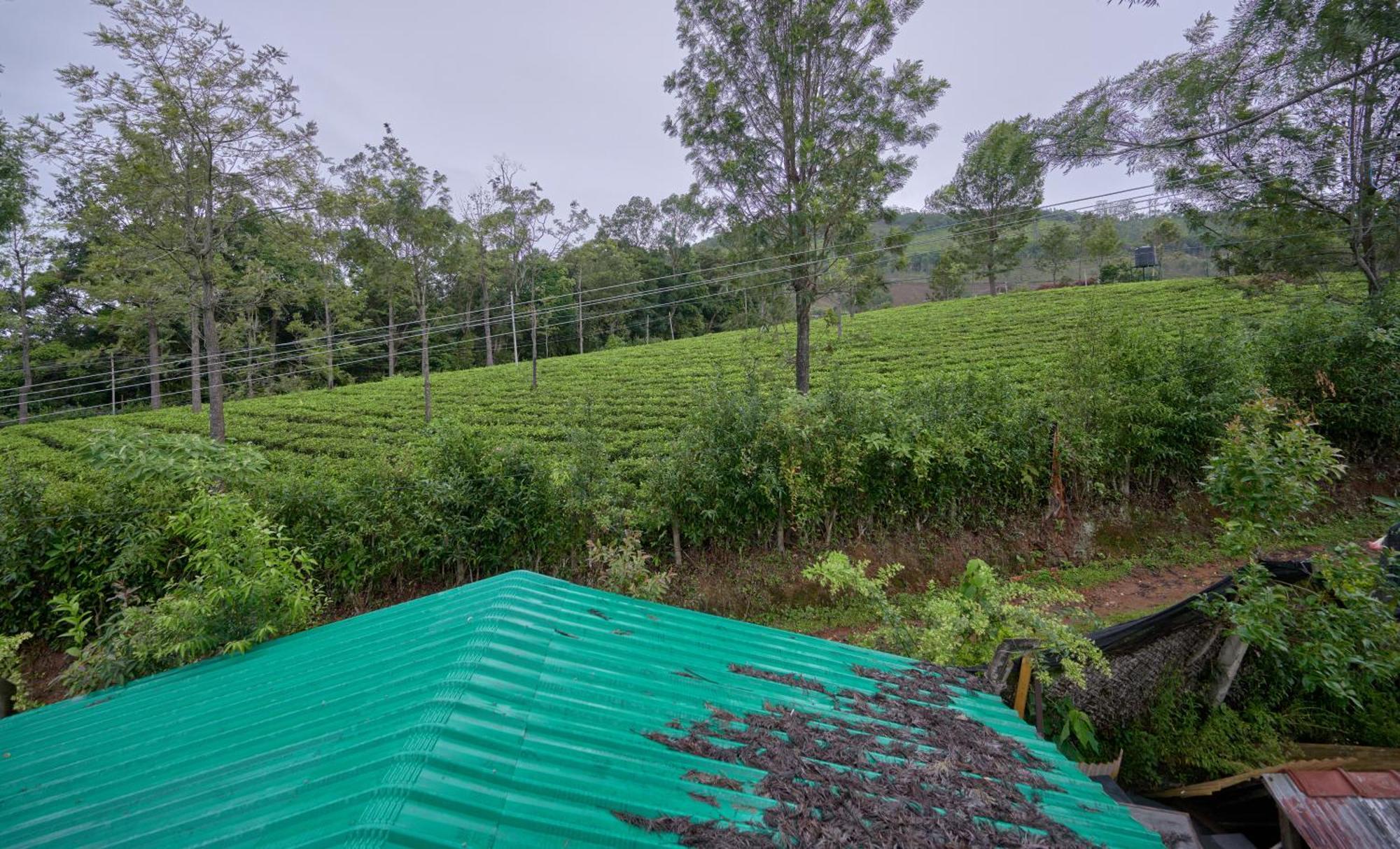 De Rock Jungle Living Resort Coonoor Exterior foto